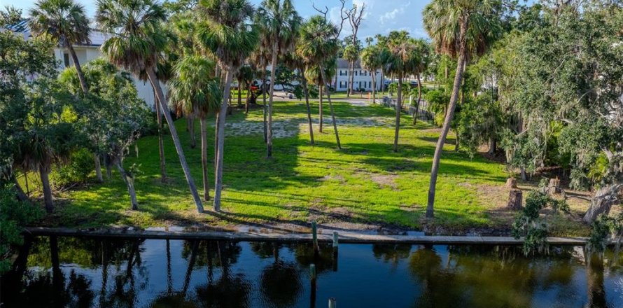 Land in Tampa, Florida № 1837038