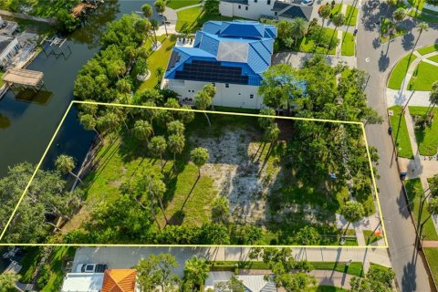 Land in Tampa, Florida № 1837038 - photo 5