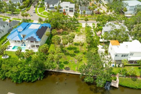 Land in Tampa, Florida № 1837038 - photo 3