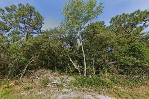 Immobilier commercial à vendre à Ocala, Floride № 2252995 - photo 7