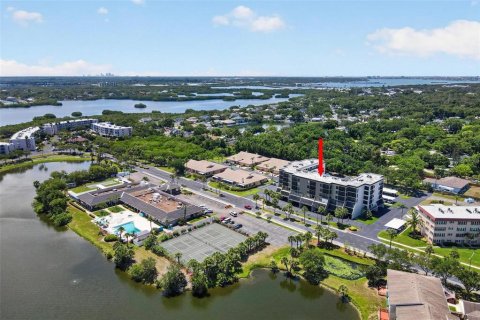 Condo in Saint Petersburg, Florida, 2 bedrooms № 2217240 - photo 4