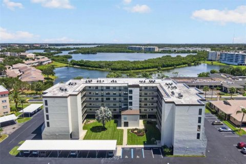 Condo in Saint Petersburg, Florida, 2 bedrooms № 2217240 - photo 2