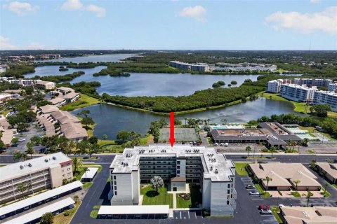 Condo in Saint Petersburg, Florida, 2 bedrooms № 2217240 - photo 3