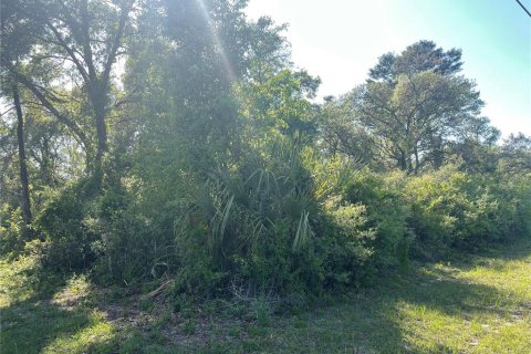 Land in Ocala, Florida № 1620126 - photo 6