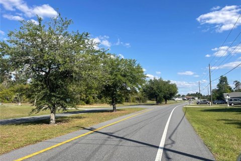 Land in Ocala, Florida № 1620126 - photo 5
