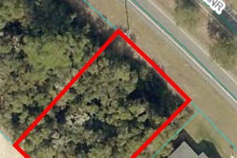 Land in Ocala, Florida № 1620126 - photo 2