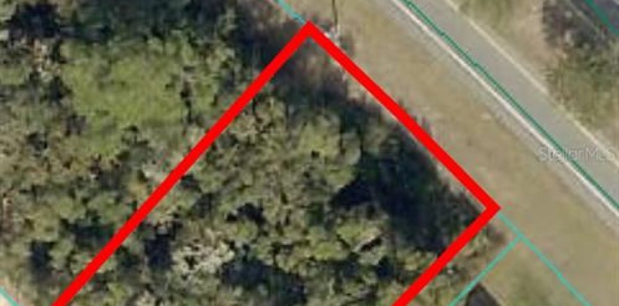 Land in Ocala, Florida № 1620126