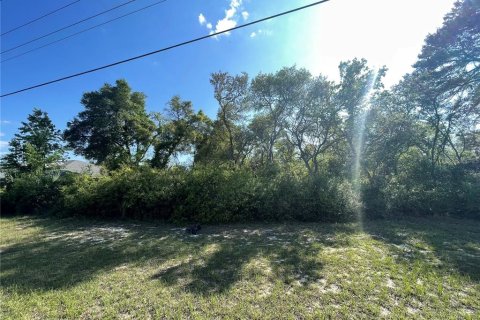 Land in Ocala, Florida № 1620126 - photo 3