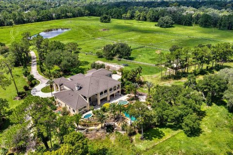 Casa en venta en Plant City, Florida, 4 dormitorios, 668.9 m2 № 2318526 - foto 3