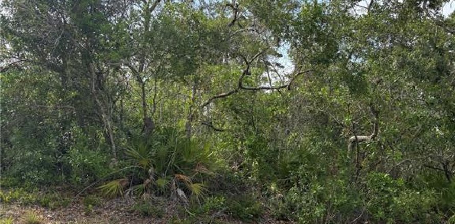 Land in Weeki Wachee, Florida № 1684452
