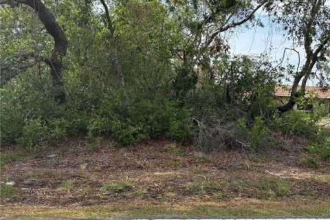 Land in Weeki Wachee, Florida № 1684452 - photo 2