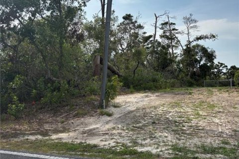 Land in Weeki Wachee, Florida № 1684452 - photo 3