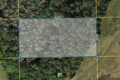 Terrain à Polk City, Floride № 2204372