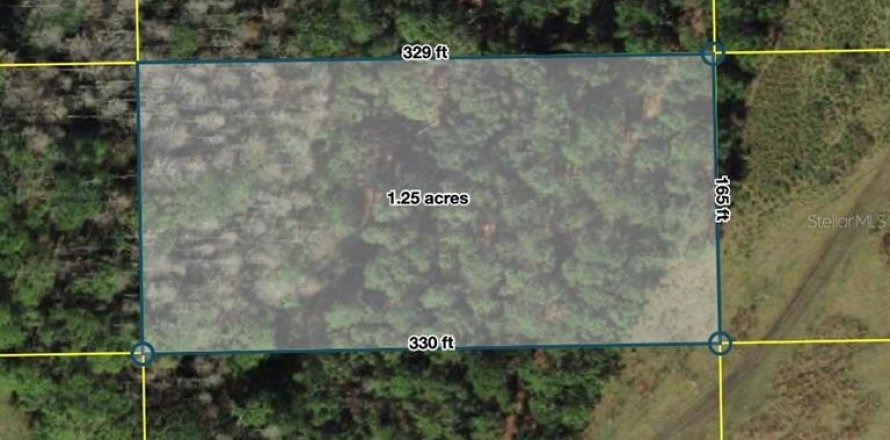 Terrain à Polk City, Floride № 2204372