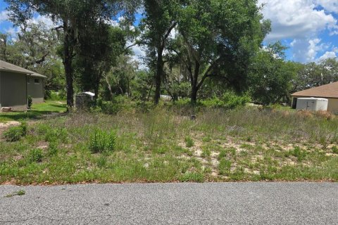 Land in Dade City, Florida № 2109586