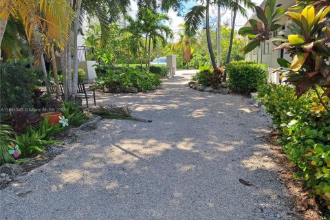 Appartement à louer à North Miami, Floride: 1 chambre, 55.74 m2 № 1892456 - photo 1