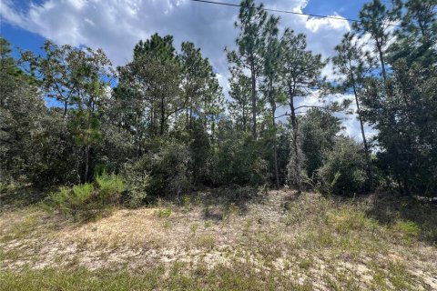 Land in Beverly Hills, Florida № 1914050 - photo 4