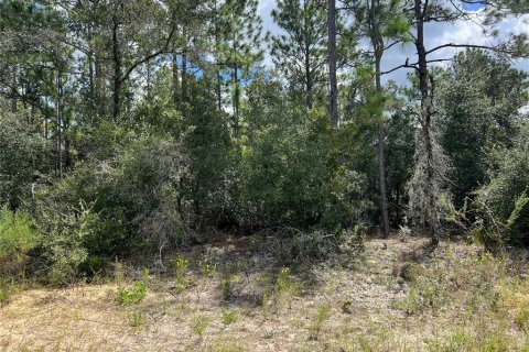 Land in Beverly Hills, Florida № 1914050 - photo 1