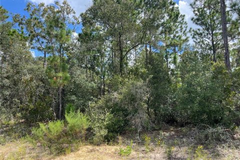 Land in Beverly Hills, Florida № 1914050 - photo 2