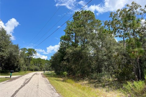 Land in Beverly Hills, Florida № 1914050 - photo 3