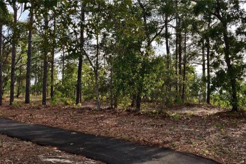 House in Spring Hill, Florida 3 bedrooms, 137.96 sq.m. № 1785662 - photo 6