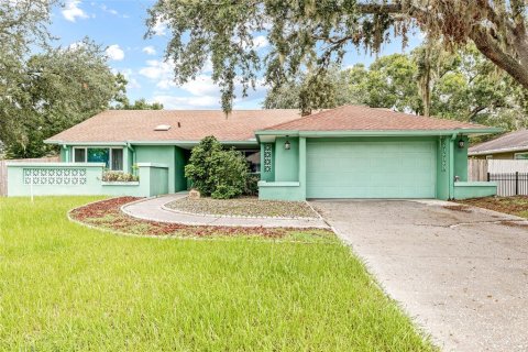 Villa ou maison à vendre à Brandon, Floride: 3 chambres, 148.83 m2 № 1915781 - photo 1