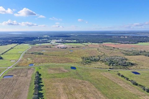 Casa en venta en Myakka City, Florida, 4 dormitorios, 422.61 m2 № 1723728 - foto 19