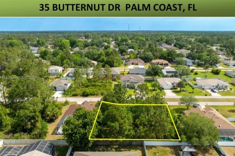 Land in Palm Coast, Florida № 2079653 - photo 2