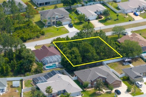 Land in Palm Coast, Florida № 2079653 - photo 7