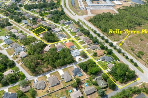 Land in Palm Coast, Florida № 2079653 - photo 3