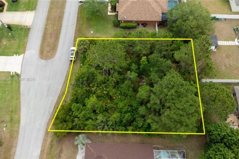 Land in Palm Coast, Florida № 2079653 - photo 9