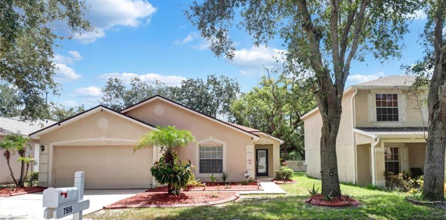 Villa ou maison à Temple Terrace, Floride 3 chambres, 172.8 m2 № 2309804