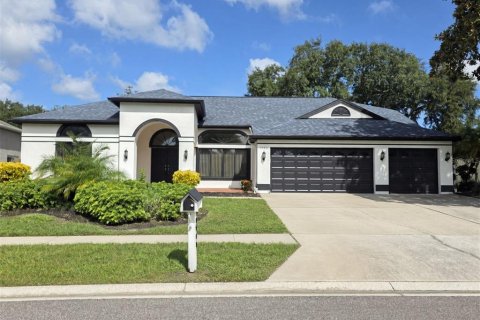 House in Palm Harbor, Florida 4 bedrooms, 266.16 sq.m. № 2372951