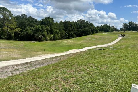 Land in Zellwood, Florida № 2165735 - photo 4