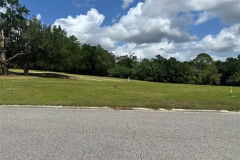 Land in Zellwood, Florida № 2165735 - photo 2