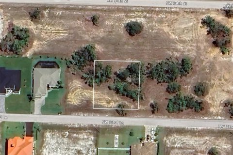 Land in Cape Coral, Florida № 1913052 - photo 4