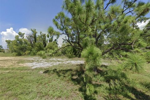 Land in Cape Coral, Florida № 1913052 - photo 2