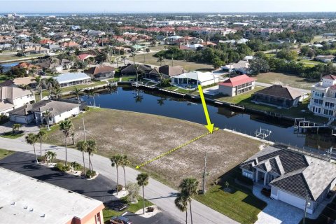 Terrain à vendre à Punta Gorda, Floride № 2098088 - photo 6
