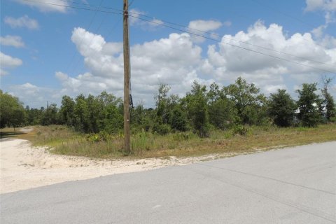Terrain à vendre à Williston, Floride № 2161525 - photo 5