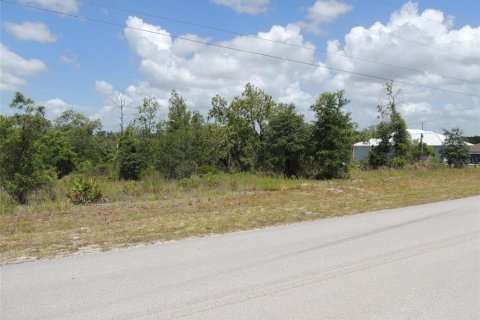 Terrain à vendre à Williston, Floride № 2161525 - photo 3