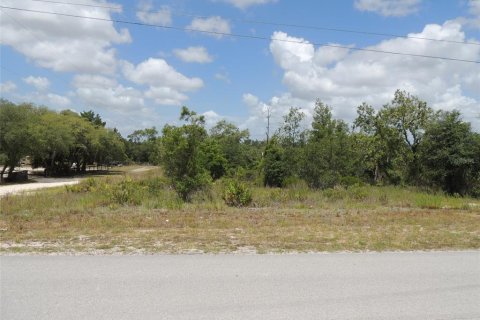 Terrain à Williston, Floride № 2161525