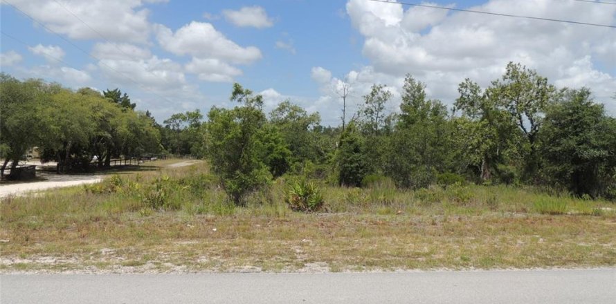 Terrain à Williston, Floride № 2161525