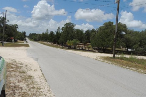 Terrain à vendre à Williston, Floride № 2161525 - photo 4