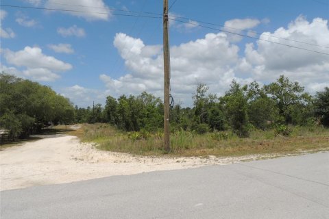 Terrain à vendre à Williston, Floride № 2161525 - photo 6