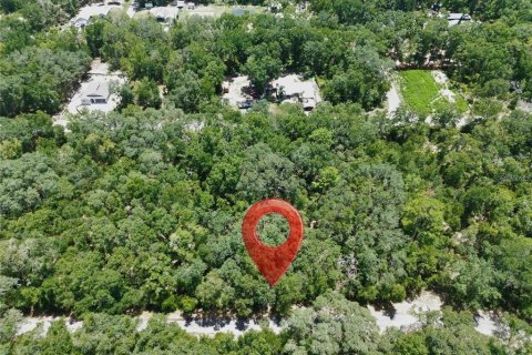 Terreno en venta en Ocklawaha, Florida № 2202873 - foto 2