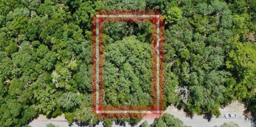 Terreno en Ocklawaha, Florida № 2202873