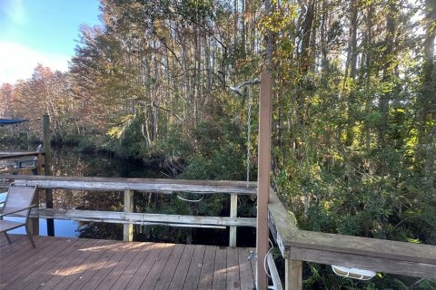 Condo in Lutz, Florida, 1 bedroom  № 1913747 - photo 12