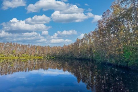 Condo in Lutz, Florida, 1 bedroom  № 1913747 - photo 5