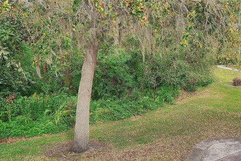Condo in Lutz, Florida, 1 bedroom  № 1913747 - photo 18