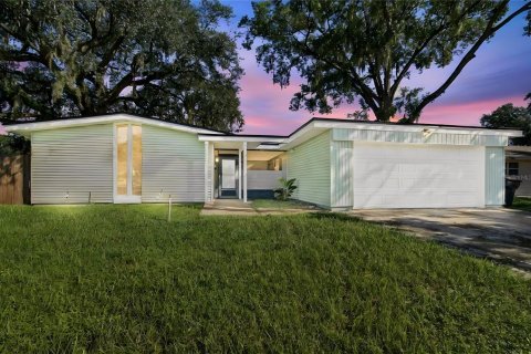 Villa ou maison à Tampa, Floride 3 chambres, 131.55 m2 № 2416276